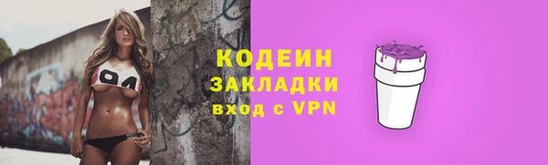 гидра Няндома