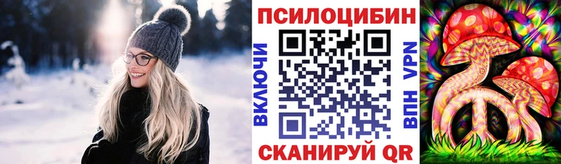 Псилоцибиновые грибы Cubensis Почеп